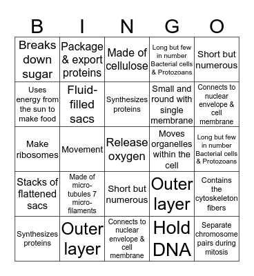 Cell Structure Bingo Card