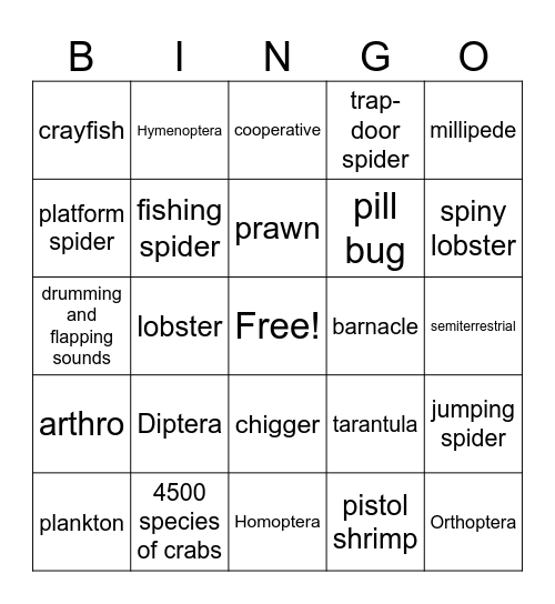 Gilchrist Arthropods Bingo Card