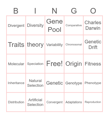 Evolutionary Concepts Bingo Card