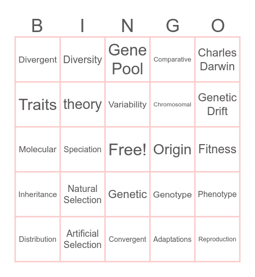 Evolutionary Concepts Bingo Card