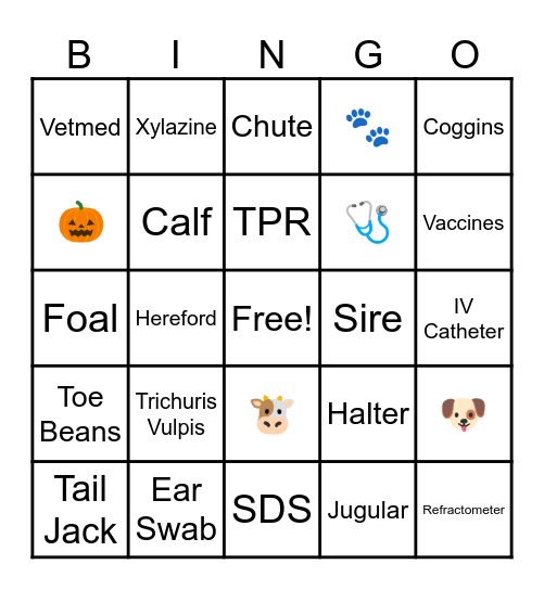 VetMed BINGO! Bingo Card
