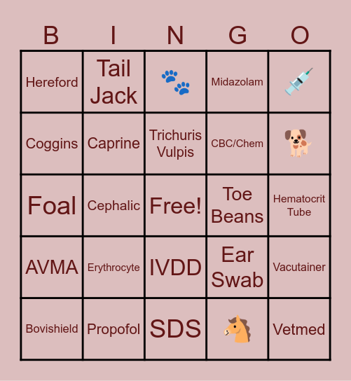 𝑽𝒆𝒕𝑴𝒆𝒅 𝑩𝑰𝑵𝑮𝑶! Bingo Card