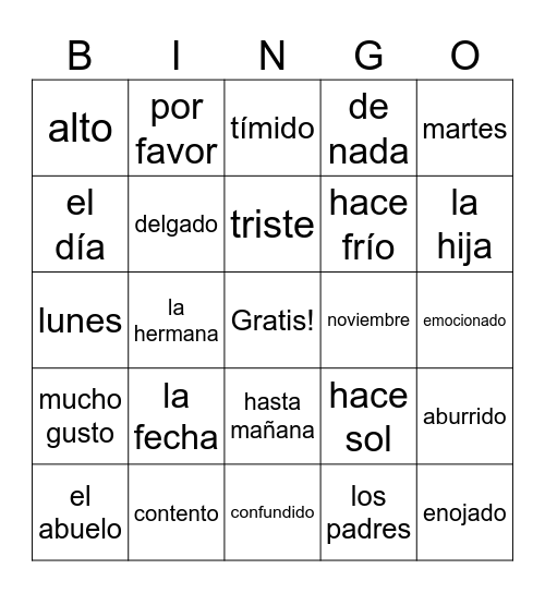 Spanish Bingo Card