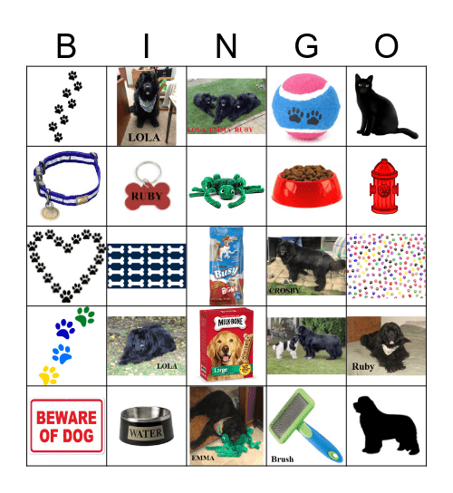 NEWFOUNDLAND BINGO Card