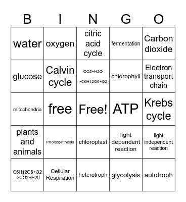 Photosynthesis and Cellular Respiration Bingo Card