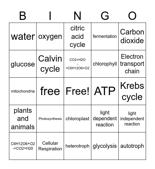 Photosynthesis and Cellular Respiration Bingo Card