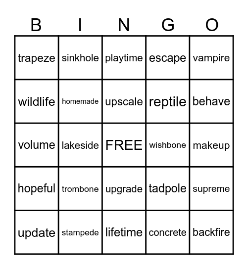 Magic E Words Bingo Card