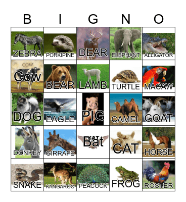 ANIMAL Bingo Card