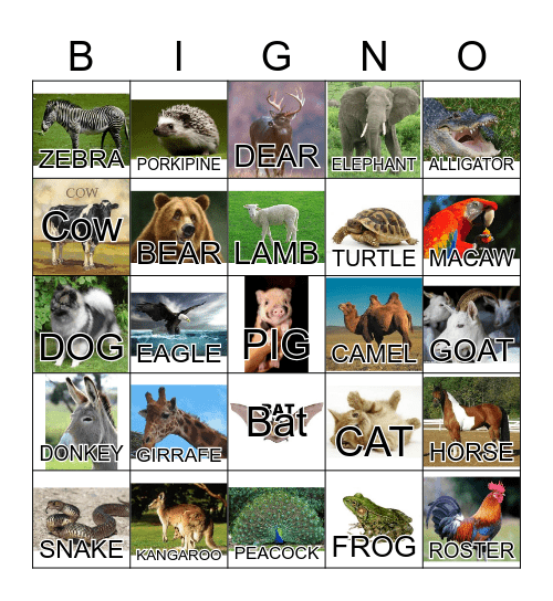 ANIMAL Bingo Card
