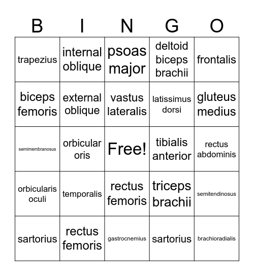 muscle bingo Card