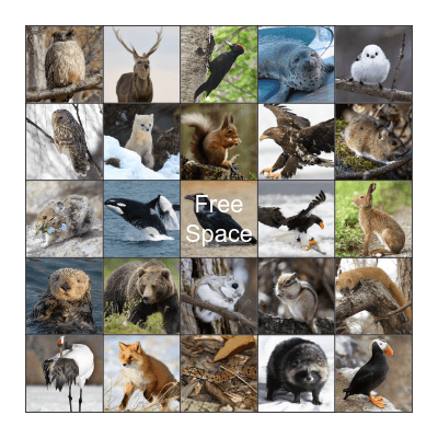 Hokkaido Wildlife Bingo Card