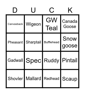 Bird Challenge Bingo Card
