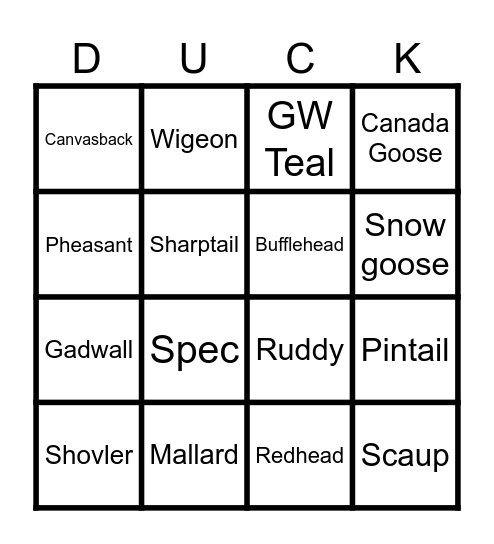 Bird Challenge Bingo Card