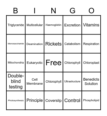 Term 1 - New Words Bingo Card