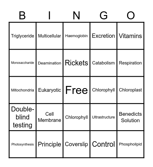 Term 1 - New Words Bingo Card