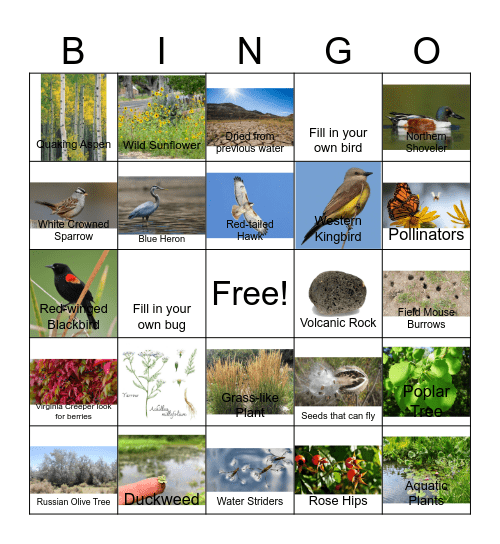 Hubbard Reservoir Bingo Card