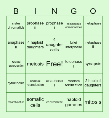 Meiosis!! Bingo Card