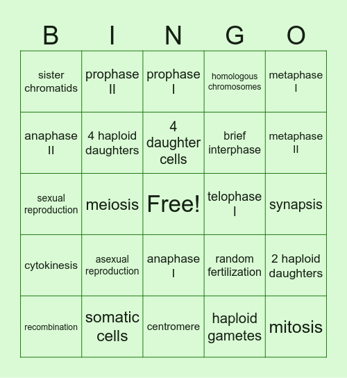 Meiosis!! Bingo Card