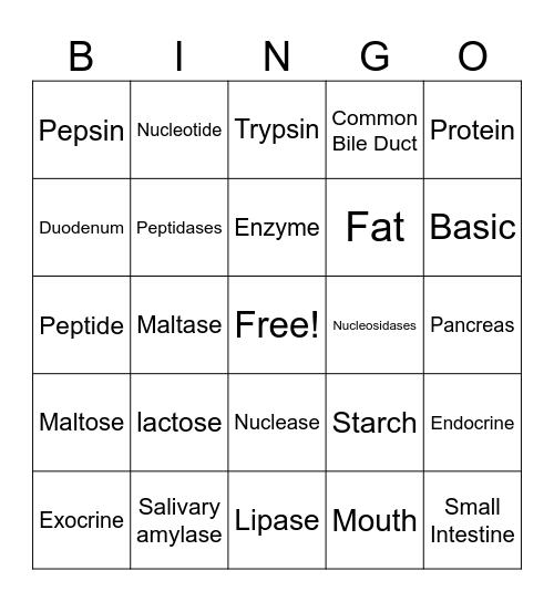 Major Digestive Enzymes Bingo Card