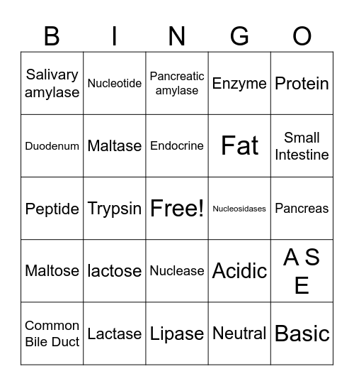 Major Digestive Enzymes Bingo Card