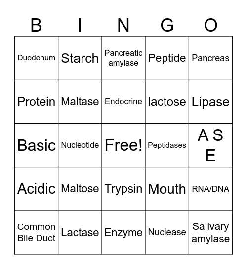 Major Digestive Enzymes Bingo Card