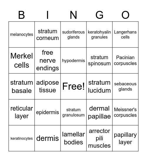 Integumentary System Bingo Card