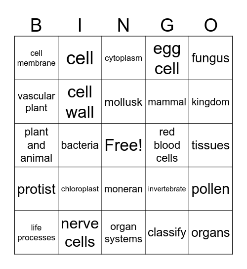 classifying living things Bingo Card