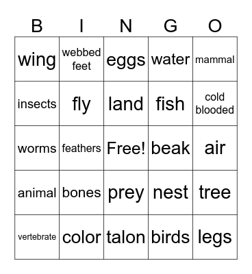 birds Bingo Card