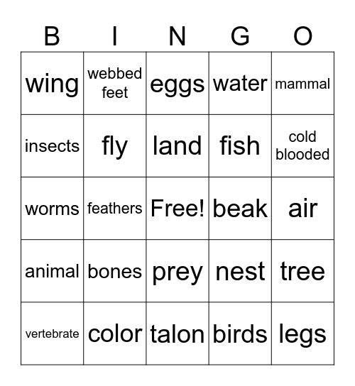 birds Bingo Card