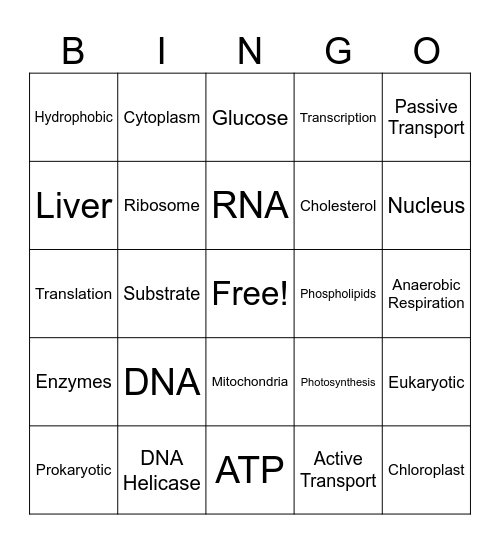 Final Exam Bingo Card