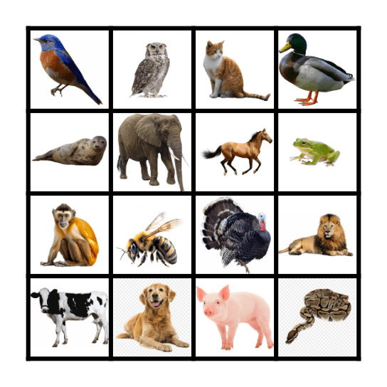 Animal Sounds Bingo Card