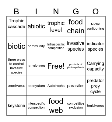 Apes Review Bingo Card