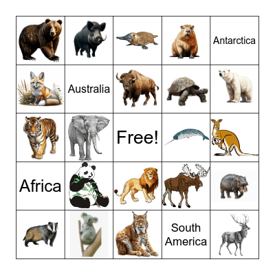 The Continents of the WORLD! Bingo Card