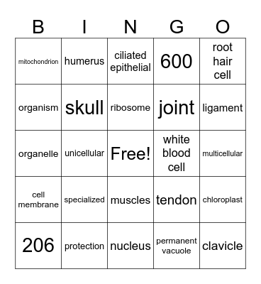 Cells and Movement Review Bingo Card