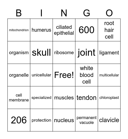 Cells and Movement Review Bingo Card