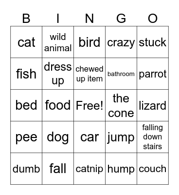 animal fails Bingo Card