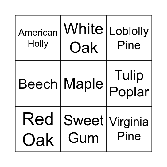 Tree ID Bingo Card