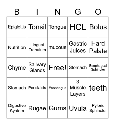 Mouth and Stomach Review Bingo Card