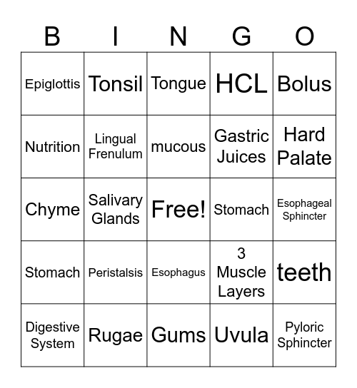 Mouth and Stomach Review Bingo Card