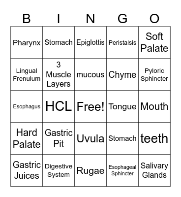 Mouth and Stomach Review Bingo Card