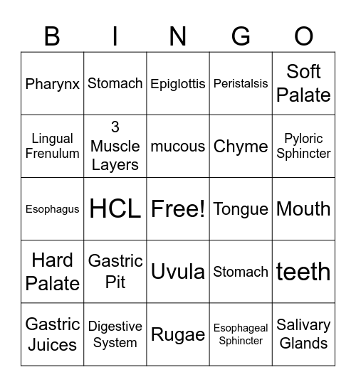 Mouth and Stomach Review Bingo Card