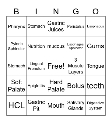 Mouth and Stomach Review Bingo Card