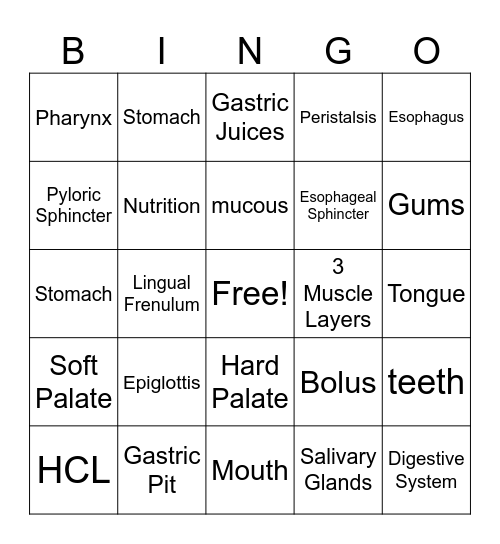 Mouth and Stomach Review Bingo Card