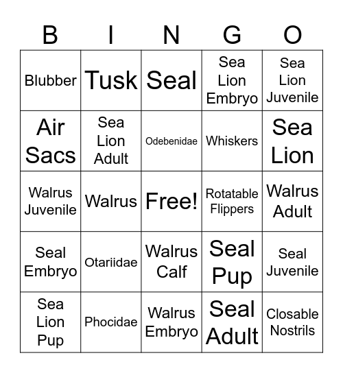 Pinnipedia Bingo Card