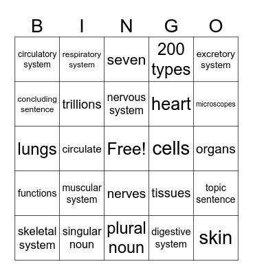 3rd Grade CKLA Unit 3 Lesson 1 Bingo Card