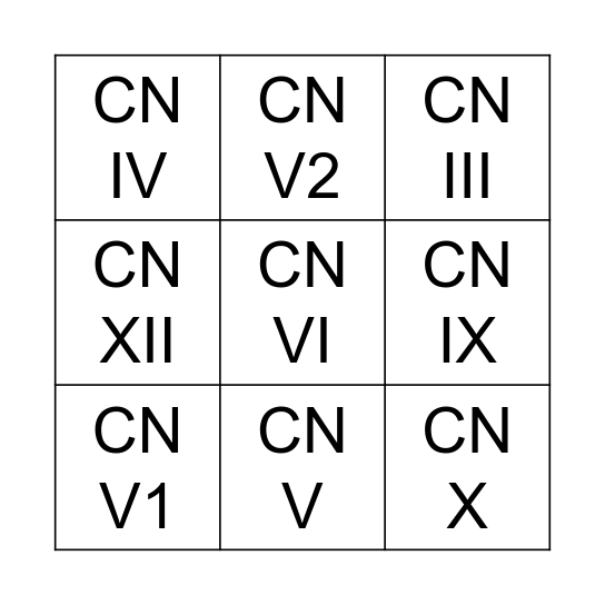 LO10: Cranial Nerves Bingo Card