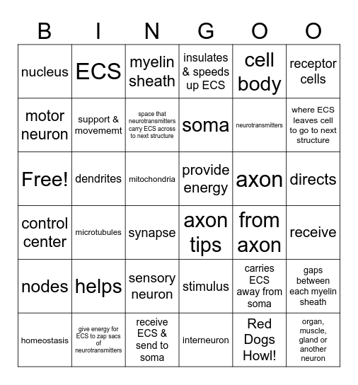 Nervous System Bingo Card