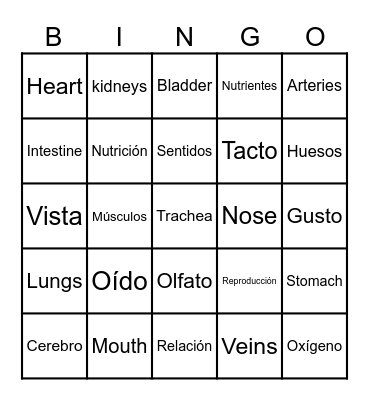 Bingo Funciones Vitales Bingo Card