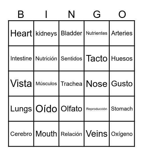 Bingo Funciones Vitales Bingo Card