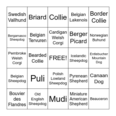 Herding Group Breeds Bingo Card